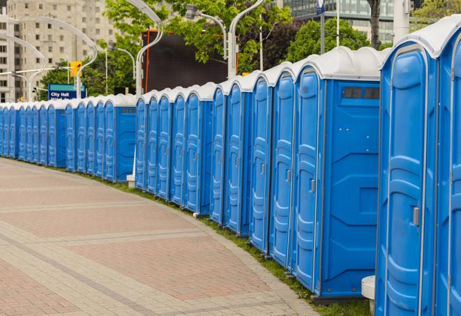 Seasonal porta potty units set up at a Dickson, Tennessee venue